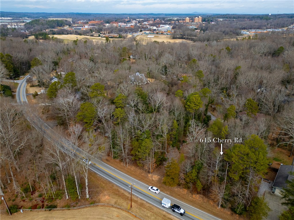 615 Cherry Road Clemson, SC 29631 - Photo 28 of 30