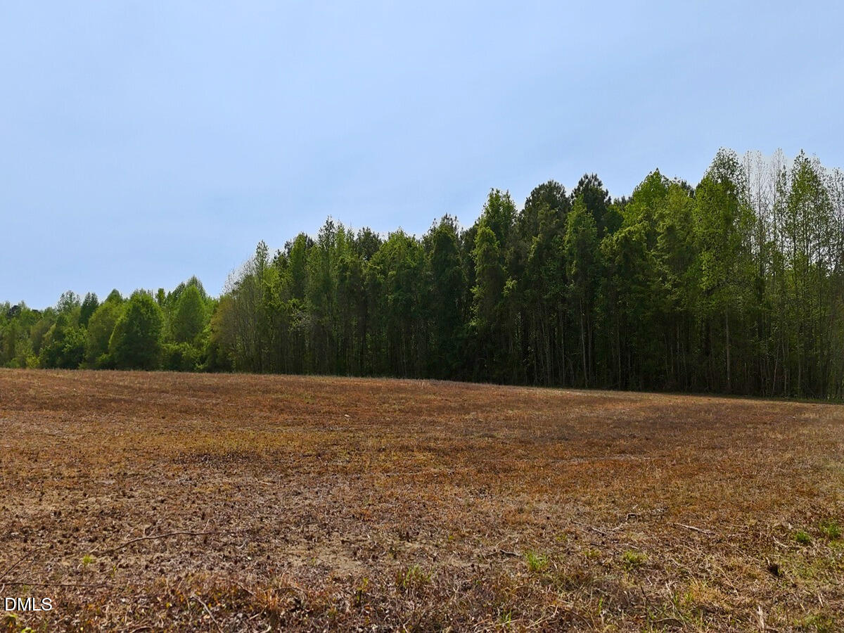 0 Mamie Road Wilson, NC 27893 - Photo 22 of 29 22.