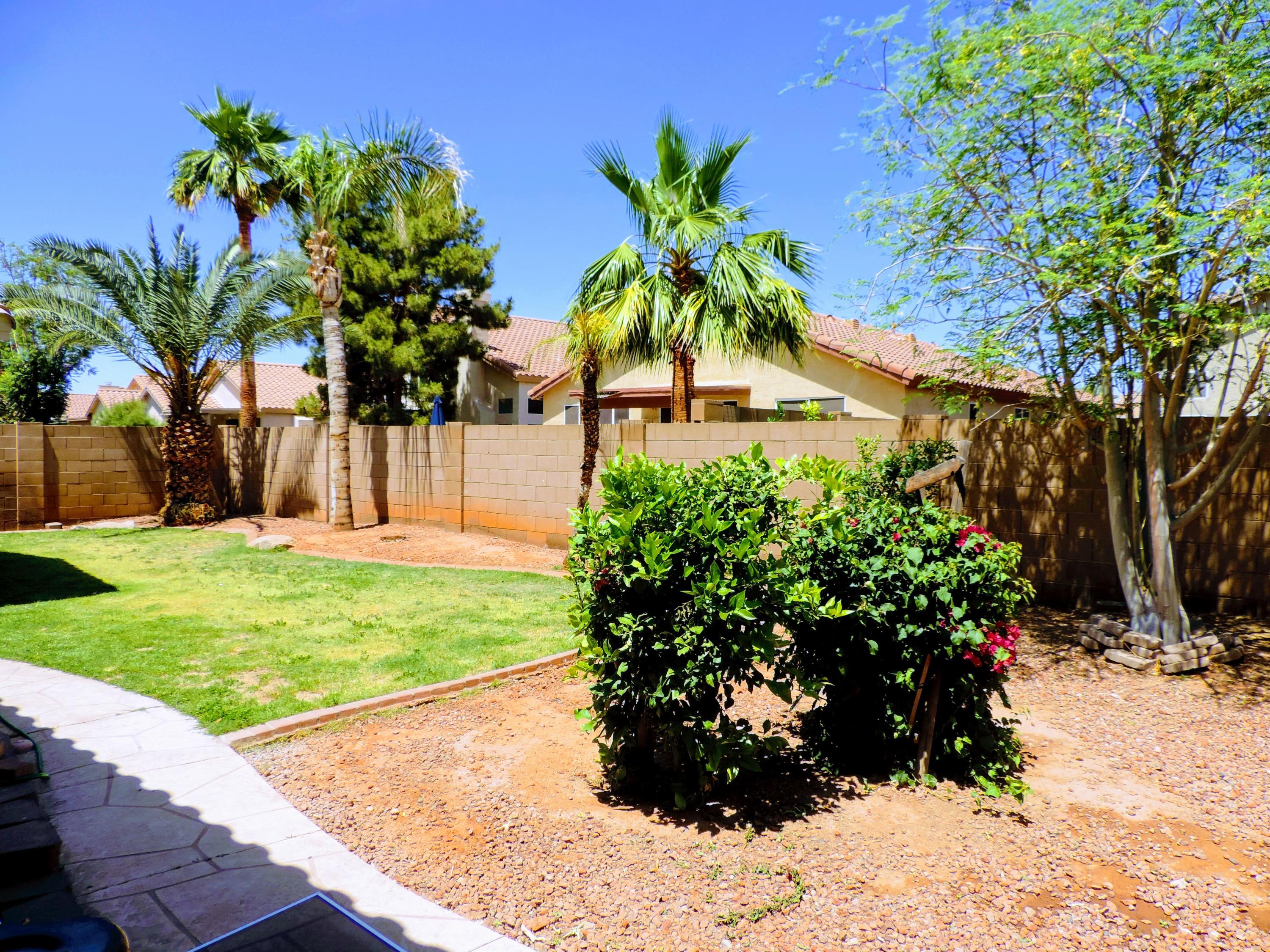 6710 West Del Rio Street Chandler, AZ 85226 - Photo 25 of 33 Backyard-1