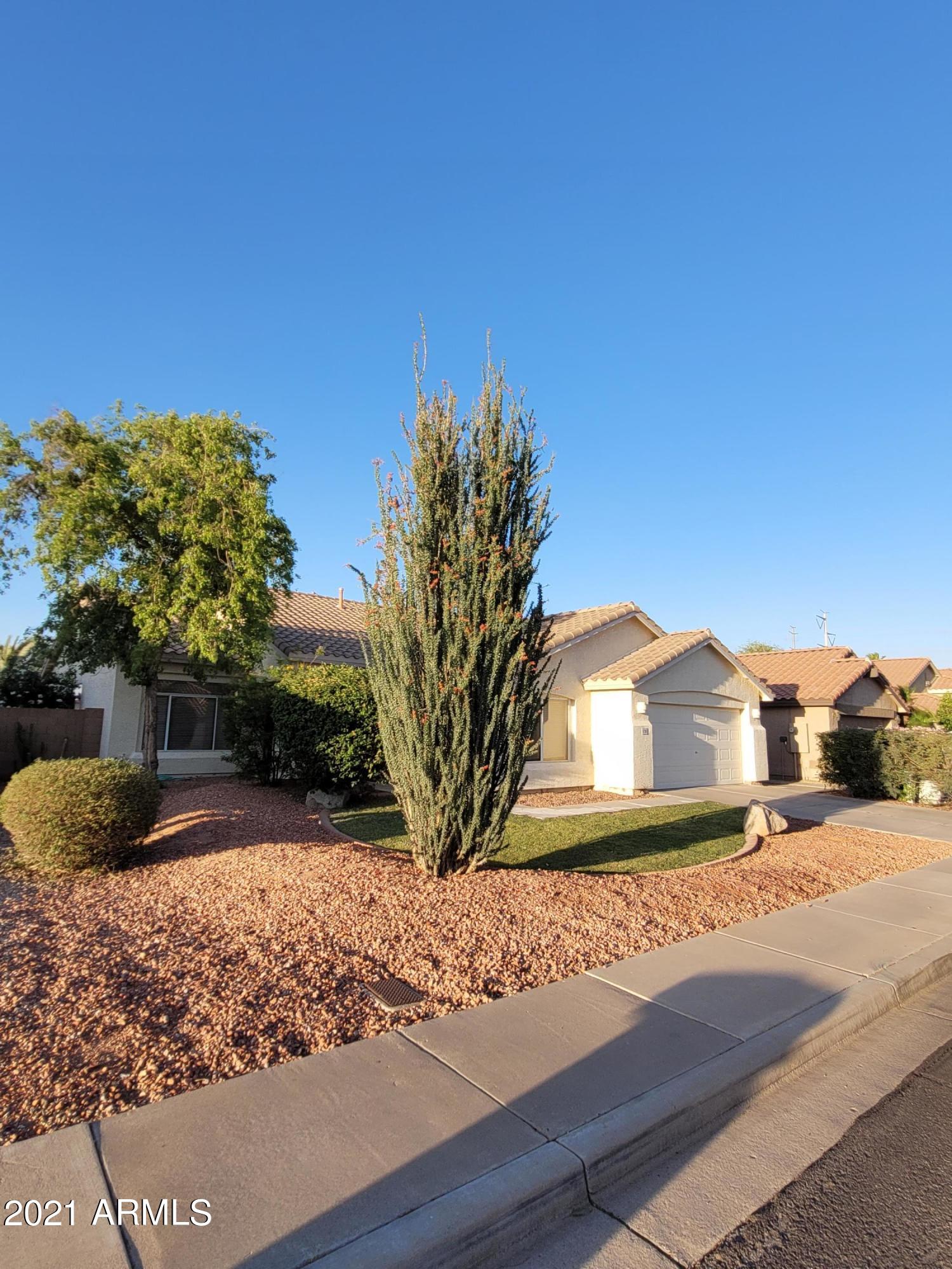 6710 West Del Rio Street Chandler, AZ 85226 - Photo 28 of 33 Frontyard