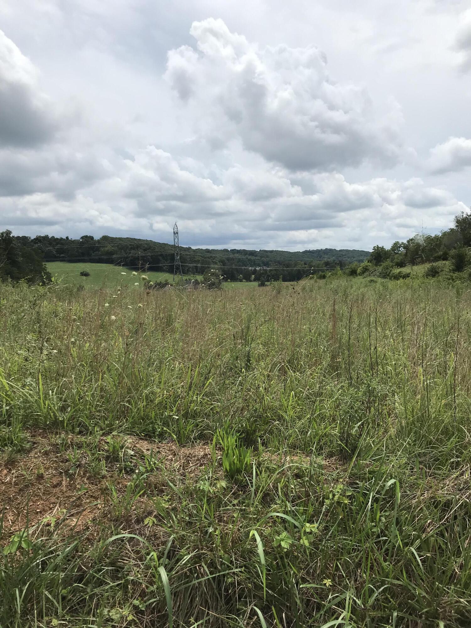 Fairview Road Corryton, TN 37721 - Photo 2 of 2 IMG_2549