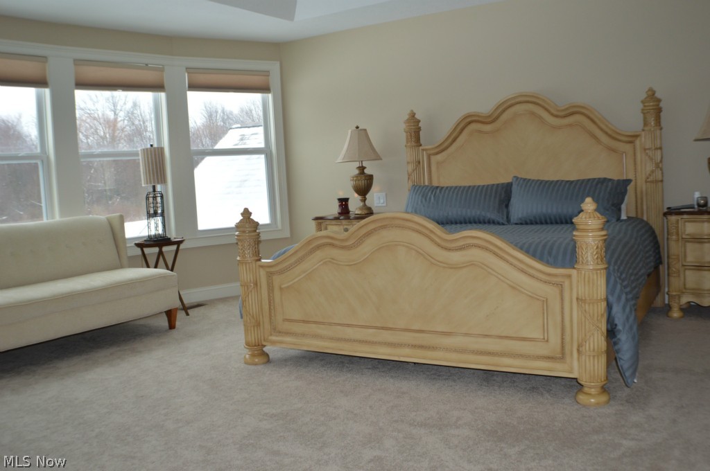 5785 Spring Ridge Drive Medina, OH 44256 - Photo 19 of 25 Master with trayed ceiling, enormous walk-in closet, luxurious master bath, with soaking tub, separate steam shower and double vanity. Note the view is of the private backyard.