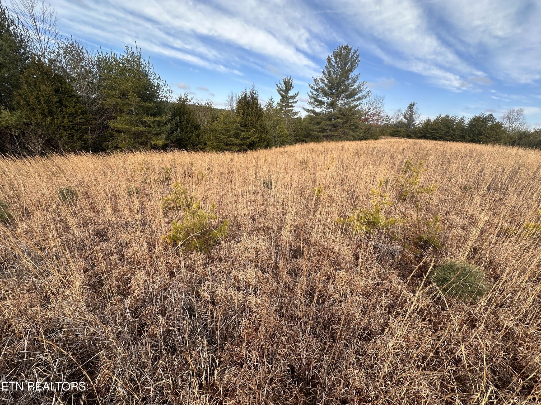 694 White Creek Loop Deer Lodge, TN 37726 - Photo 6 of 7 a view of mountain with lake view