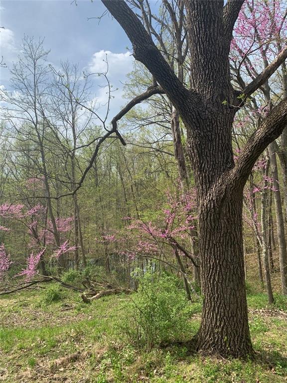 3422 Lanam Ridge Road Nashville, IN 47448 - Photo 11 of 22 Gallery Image 11