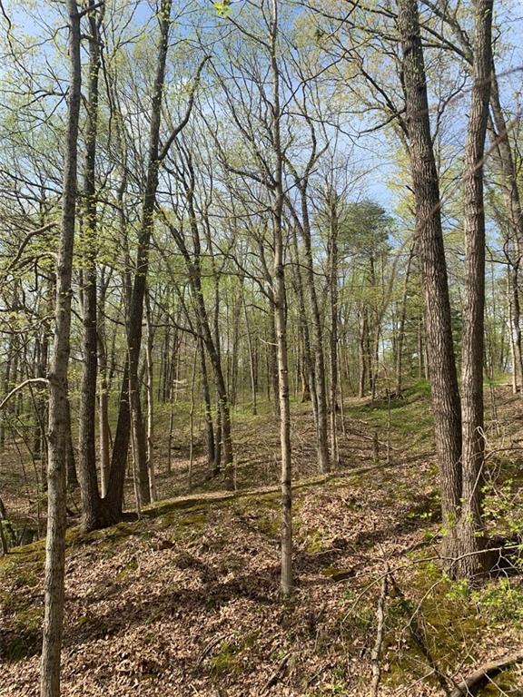 3422 Lanam Ridge Road Nashville, IN 47448 - Photo 17 of 22 Gallery Image 17