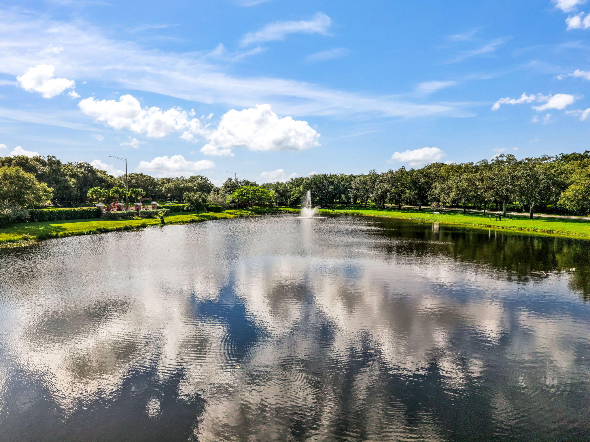 3171 Overlook Road Davie, FL 33328 - Photo 48 of 55 6-web-or-mls-DJI_20260520170820_0179_D