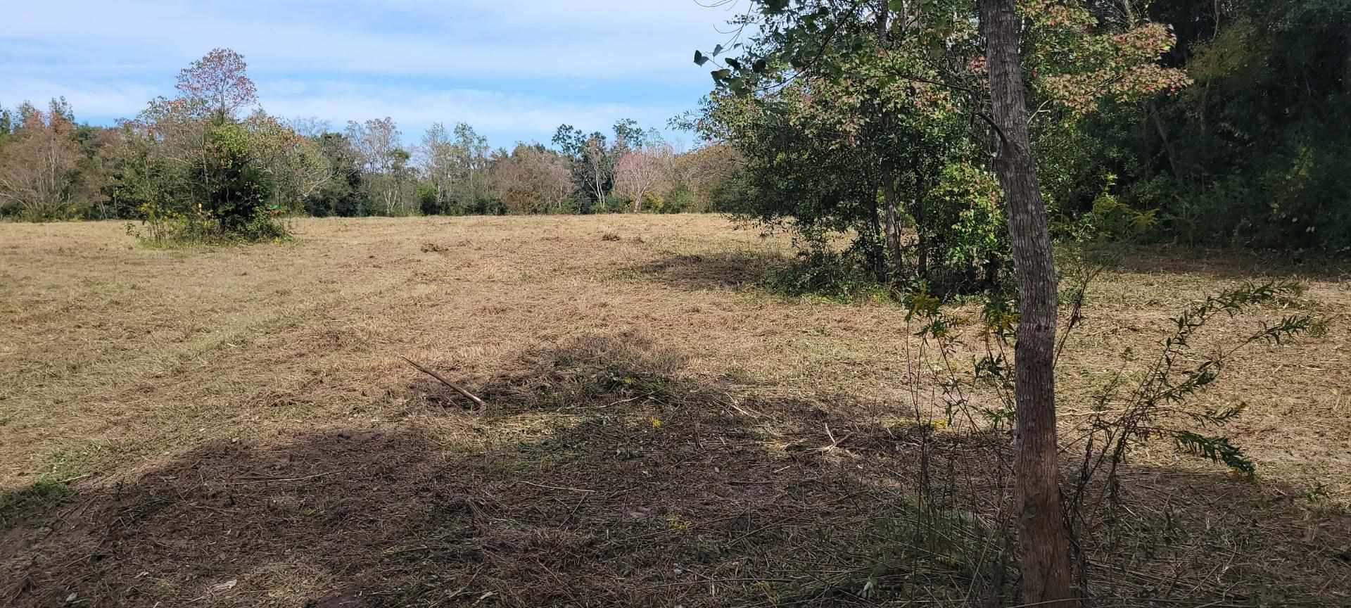 1821 Williams Ditch Road Cantonment, FL 32533 - Photo 2 of 3