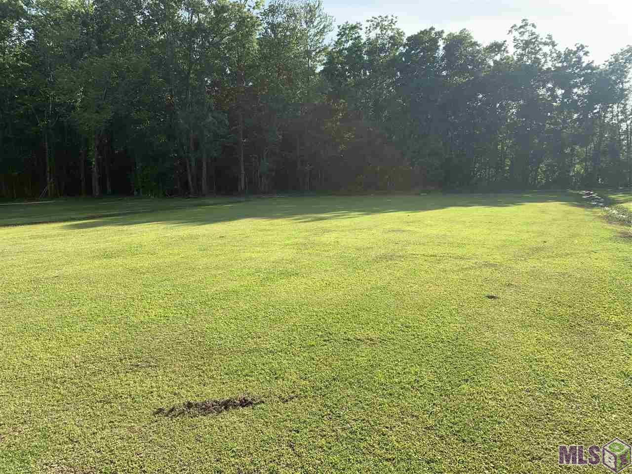 15453 Ball Park Road Prairieville, LA 70769 - Photo 20 of 21 Gallery Image 20