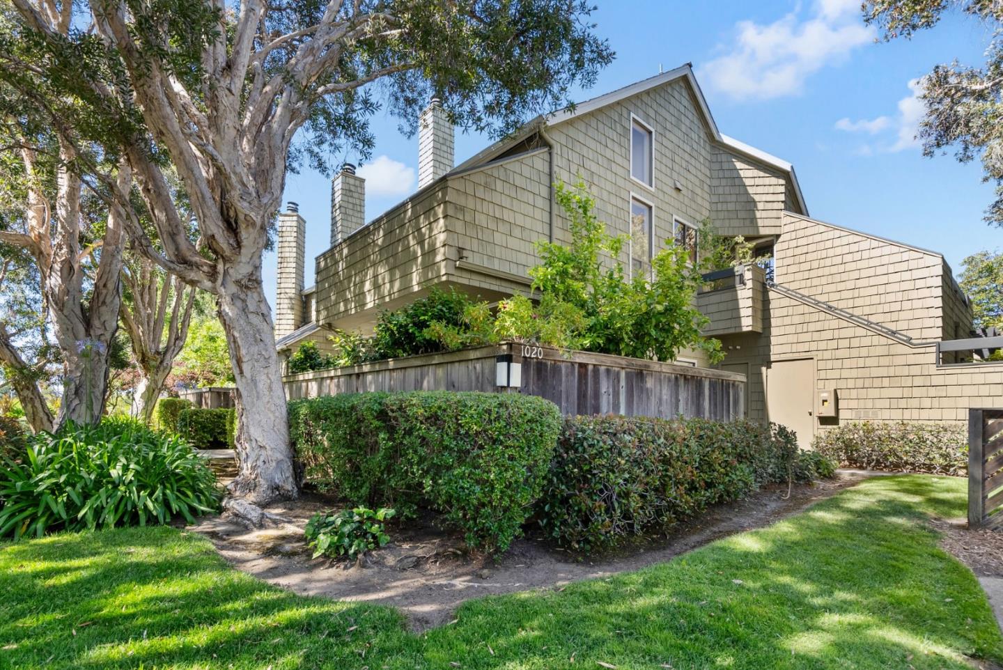1020 Shoreline Drive San Mateo, CA 94404 - Photo 2 of 46 a view of a backyard with plants