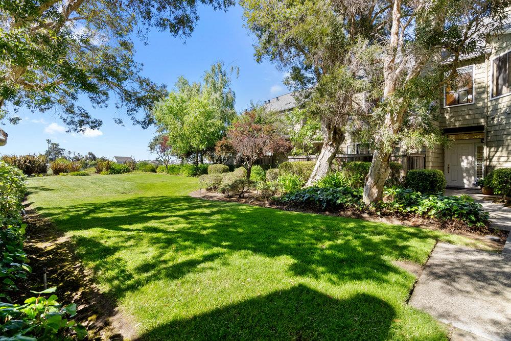 1020 Shoreline Drive San Mateo, CA 94404 - Photo 4 of 46 a view of a lush green space