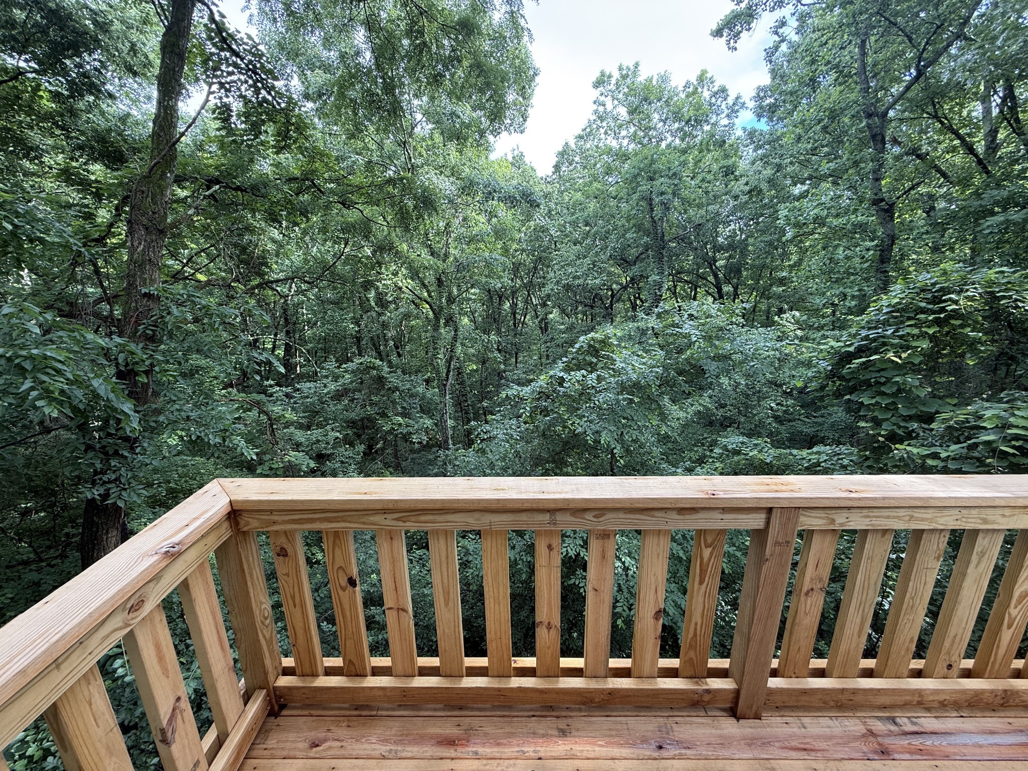 1081 Savely Road Pegram, TN 37143 - Photo 9 of 17