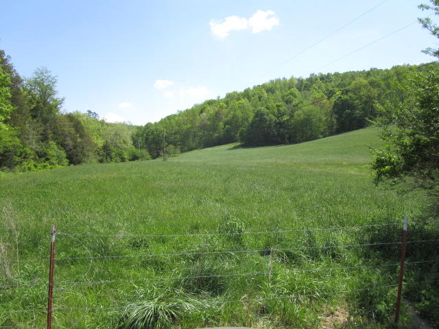 Locust Grove Road Washburn, TN 37888 - Photo 1 of 13 IMG_0174