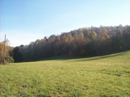 Locust Grove Road Washburn, TN 37888 - Photo 11 of 13 Additional Photo