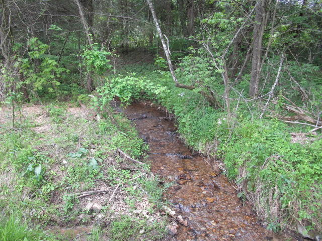 Locust Grove Road Washburn, TN 37888 - Photo 3 of 13 IMG_0165