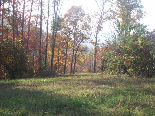 Locust Grove Road Washburn, TN 37888 - Photo 5 of 13 Additional Photo
