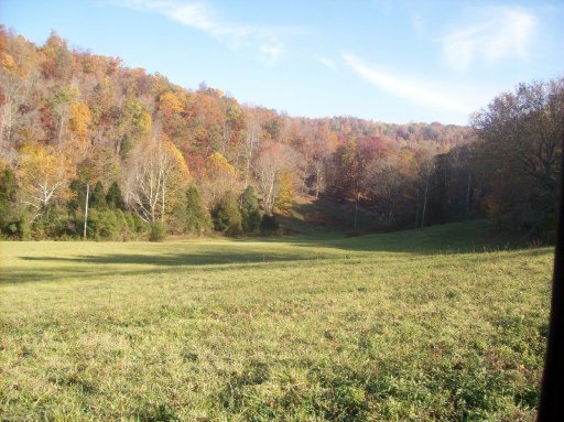 Locust Grove Road Washburn, TN 37888 - Photo 8 of 13 Additional Photo