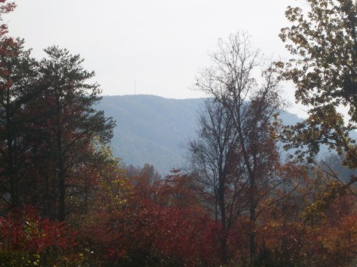 Locust Grove Road Washburn, TN 37888 - Photo 9 of 13 Additional Photo