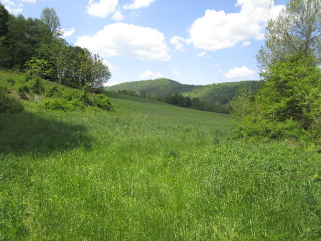 Locust Grove Road Washburn, TN 37888 - Photo 10 of 13 IMG_0161