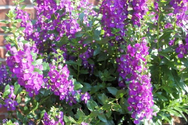 $849,900 | 411 Westchester Boulevard, Noblesville, IN 46062