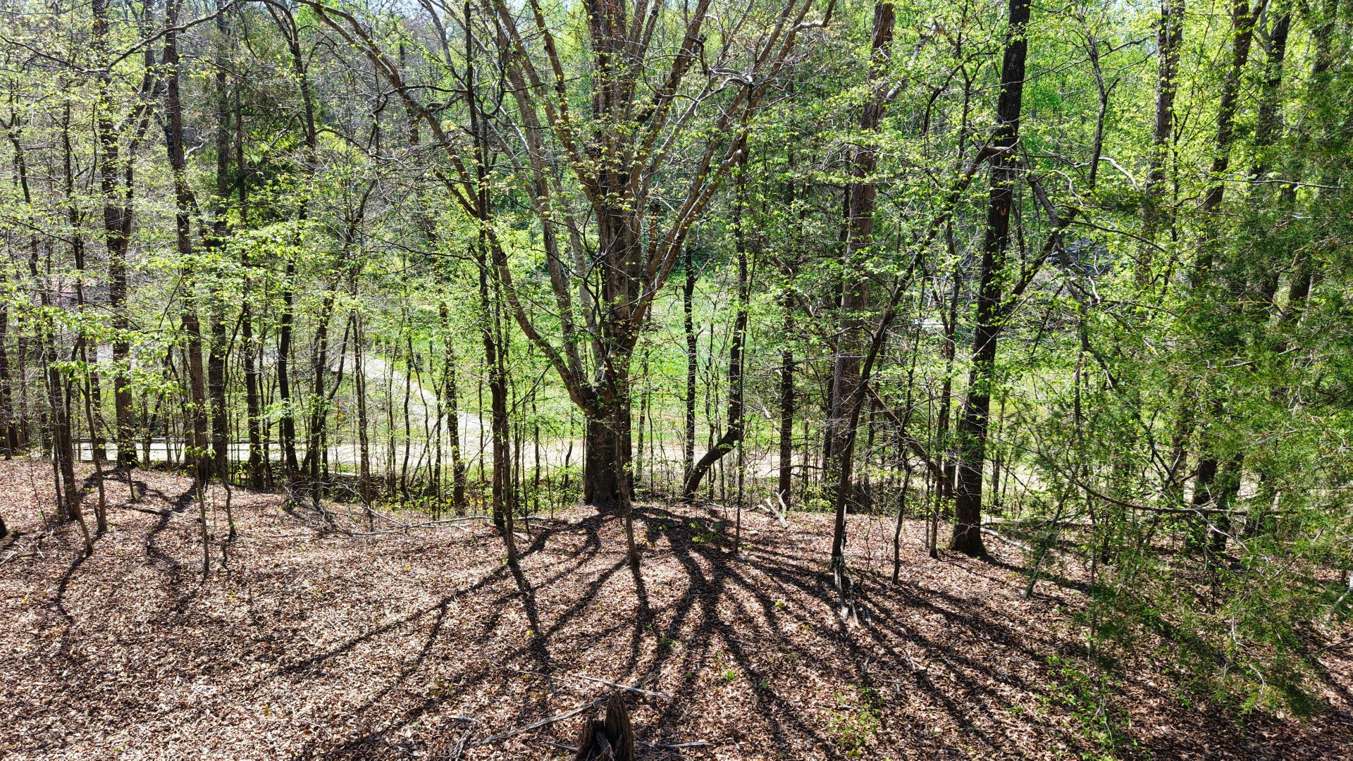 0 Brown Hollow Road Lyles, TN 37098 - Photo 16 of 18