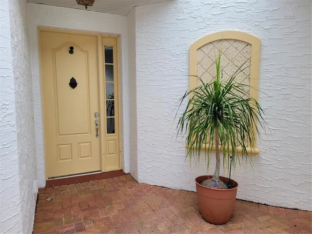a view of a potted plant in front of a door