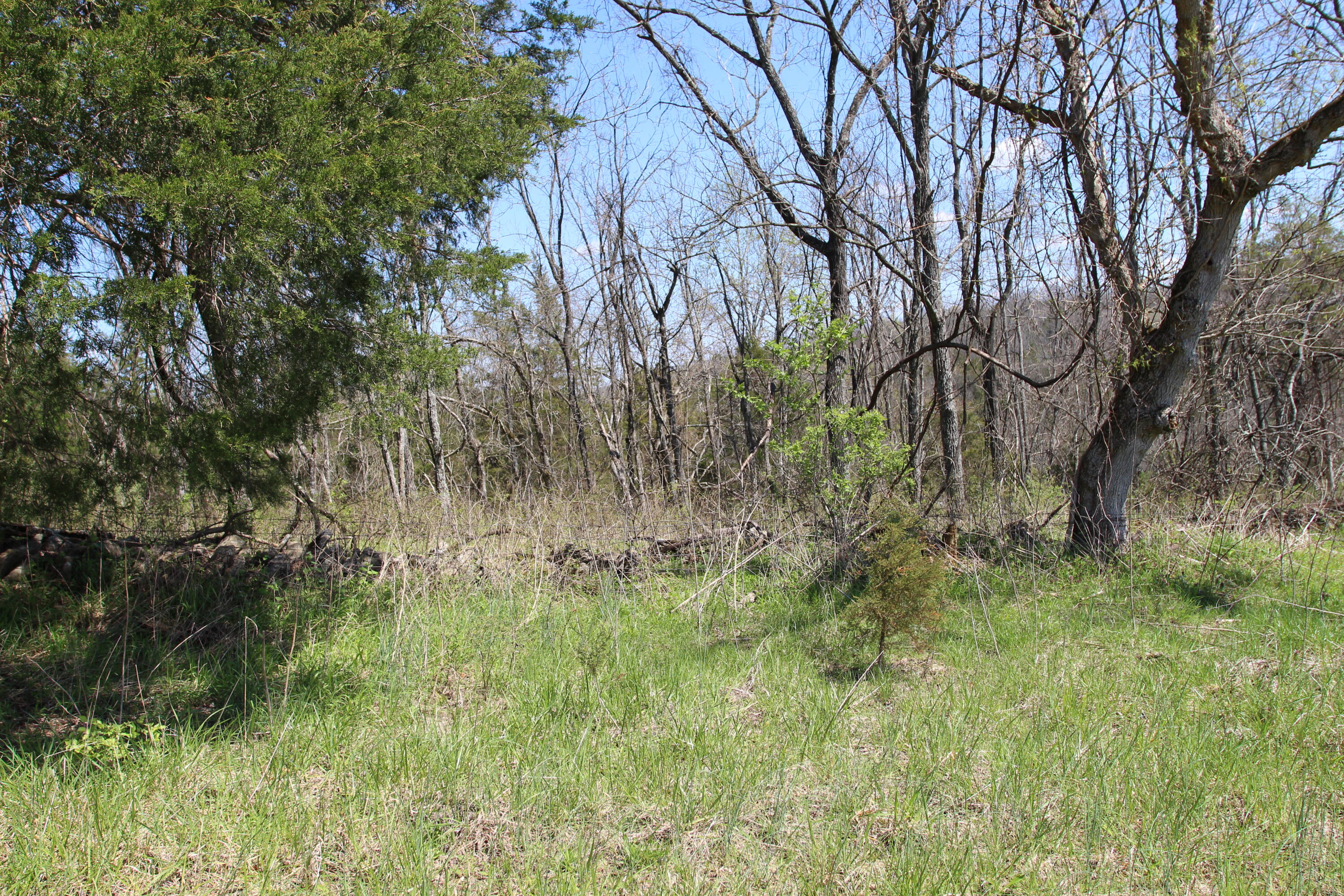 127 Owenton Road Owenton, KY 40359 - Photo 20 of 33 1- land owen county (19)