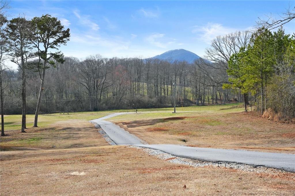 6998 Britt Gailey Road Clermont, GA 30527 - Photo 101 of 107