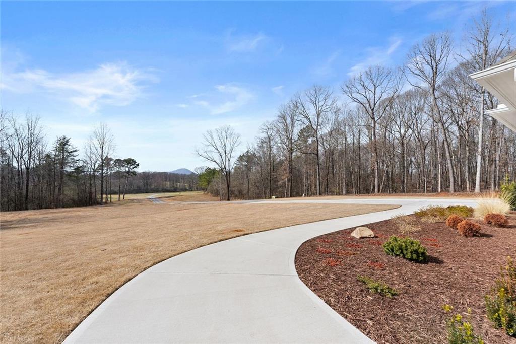 6998 Britt Gailey Road Clermont, GA 30527 - Photo 11 of 107