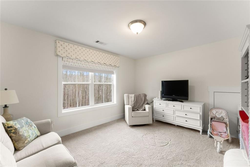 6998 Britt Gailey Road Clermont, GA 30527 - Photo 51 of 107