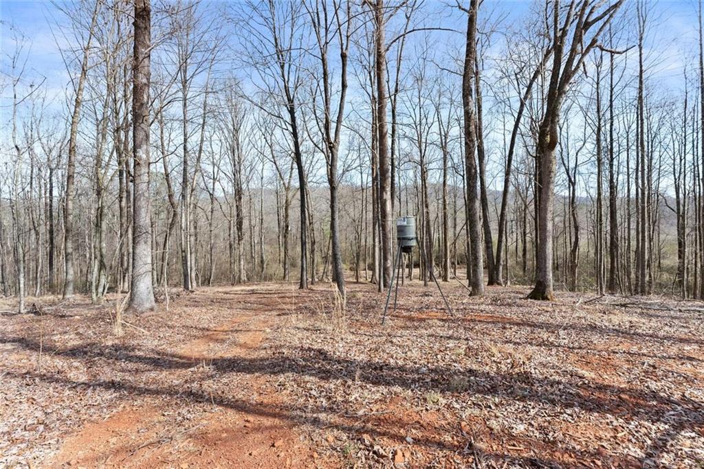 6998 Britt Gailey Road Clermont, GA 30527 - Photo 78 of 107