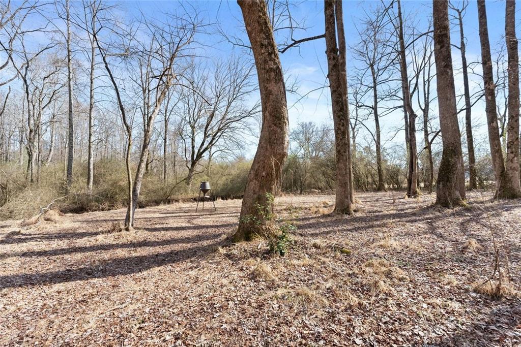 6998 Britt Gailey Road Clermont, GA 30527 - Photo 79 of 107