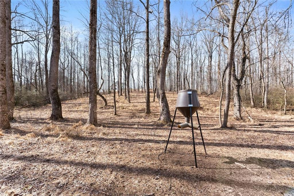 6998 Britt Gailey Road Clermont, GA 30527 - Photo 80 of 107