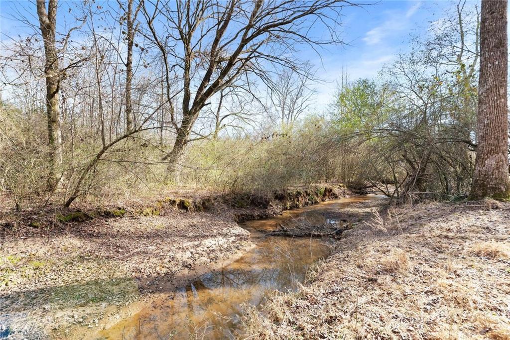 6998 Britt Gailey Road Clermont, GA 30527 - Photo 81 of 107