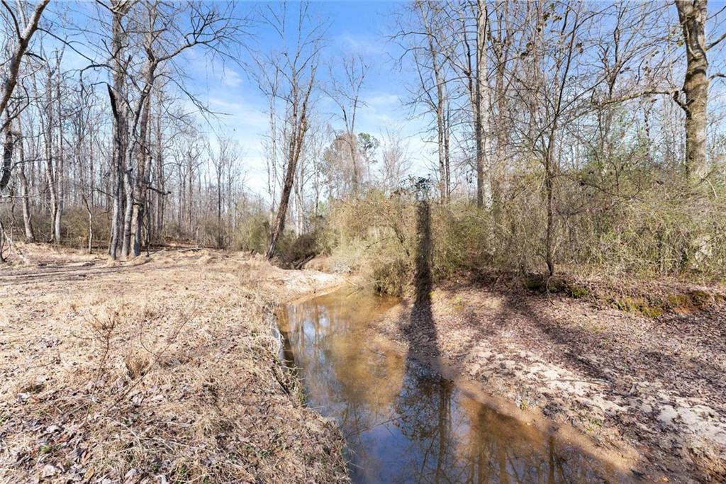 6998 Britt Gailey Road Clermont, GA 30527 - Photo 82 of 107