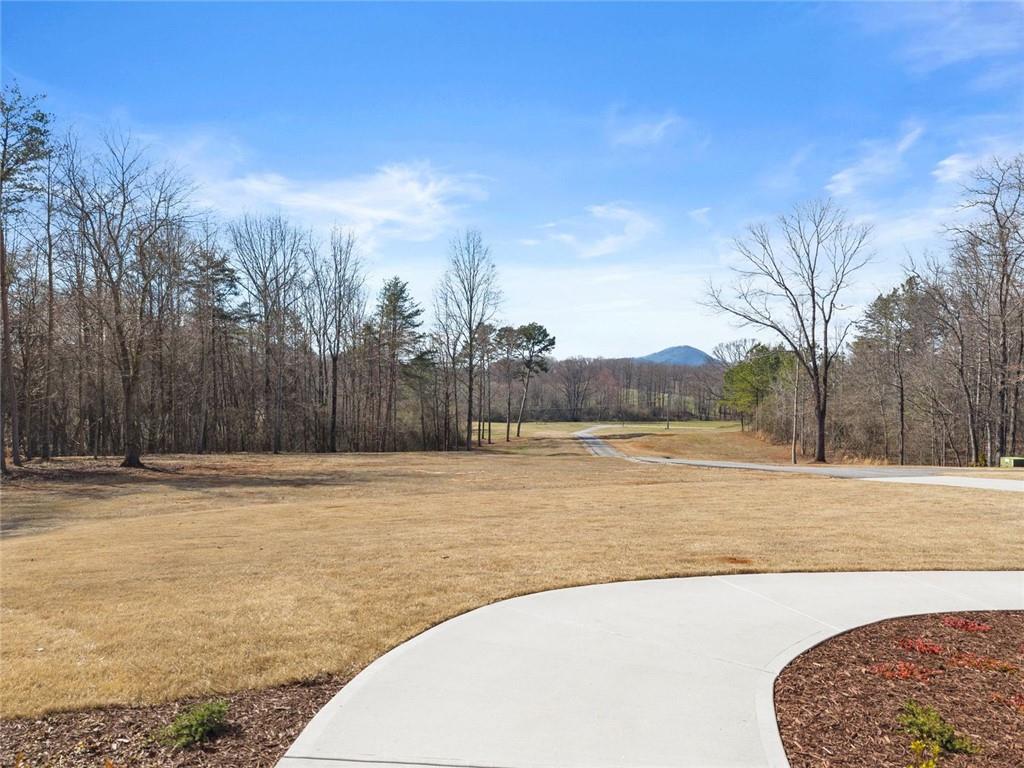 6998 Britt Gailey Road Clermont, GA 30527 - Photo 83 of 107