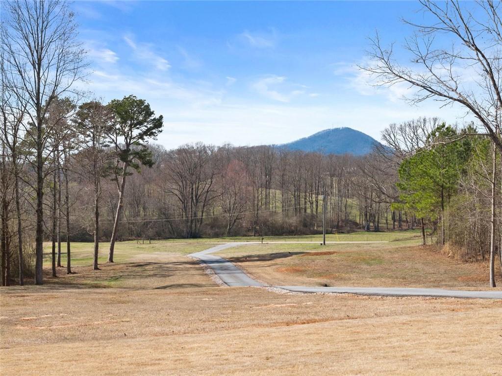 6998 Britt Gailey Road Clermont, GA 30527 - Photo 84 of 107