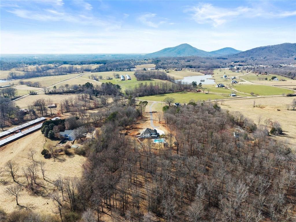 6998 Britt Gailey Road Clermont, GA 30527 - Photo 90 of 107
