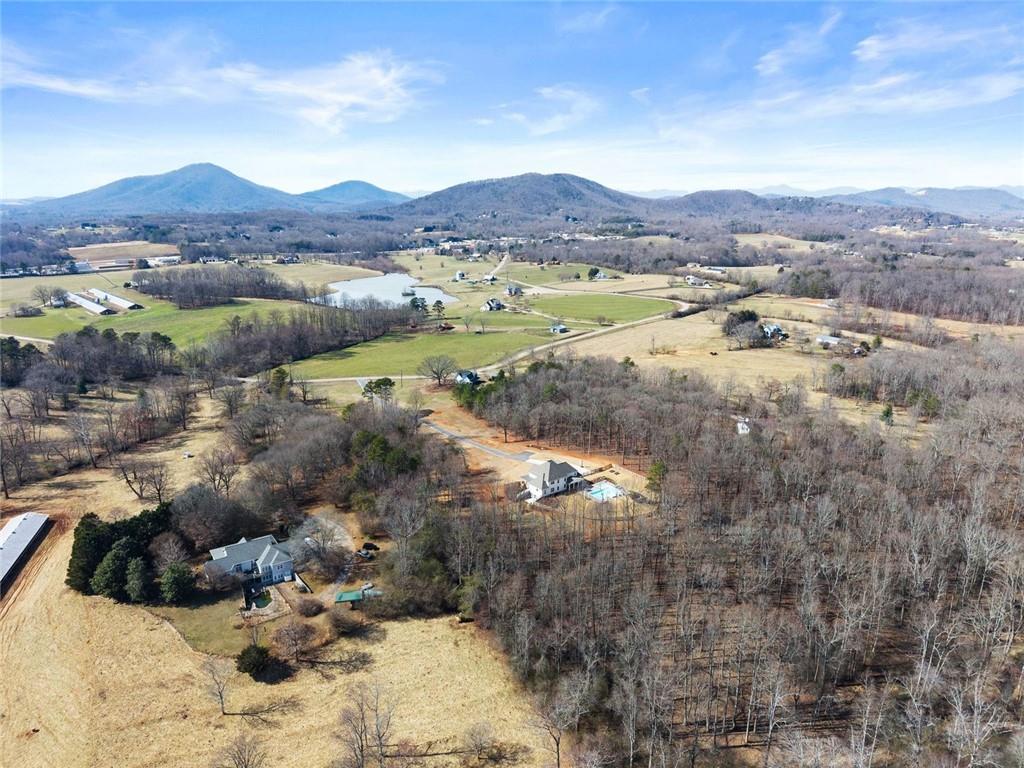 6998 Britt Gailey Road Clermont, GA 30527 - Photo 91 of 107