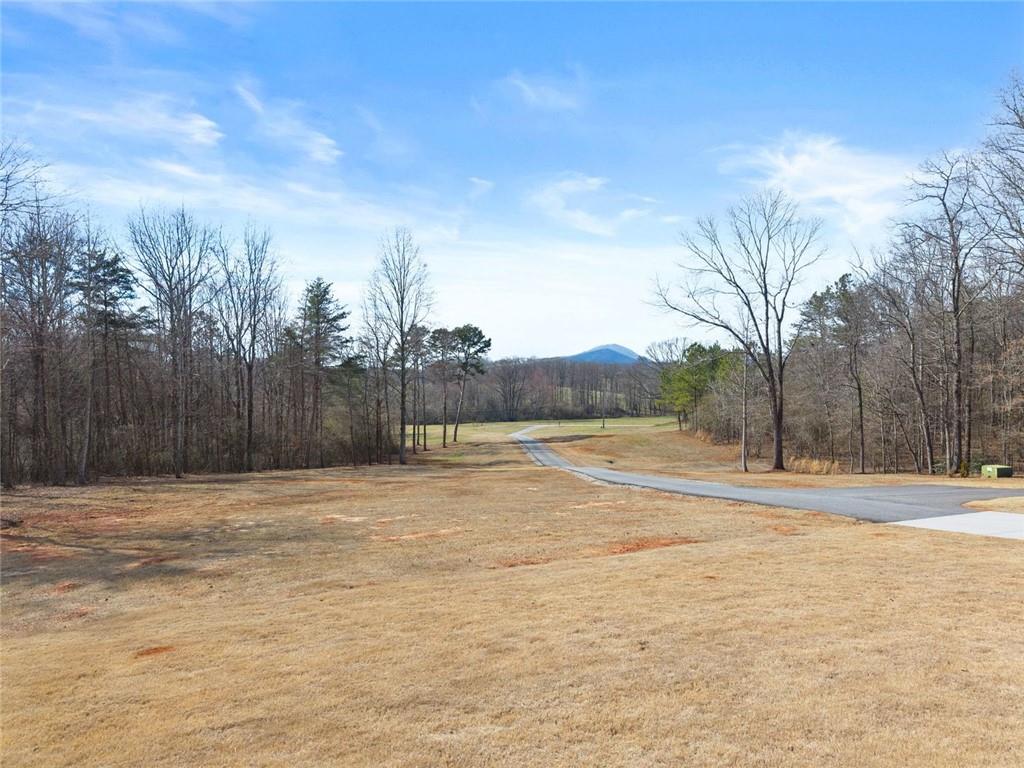 6998 Britt Gailey Road Clermont, GA 30527 - Photo 99 of 107