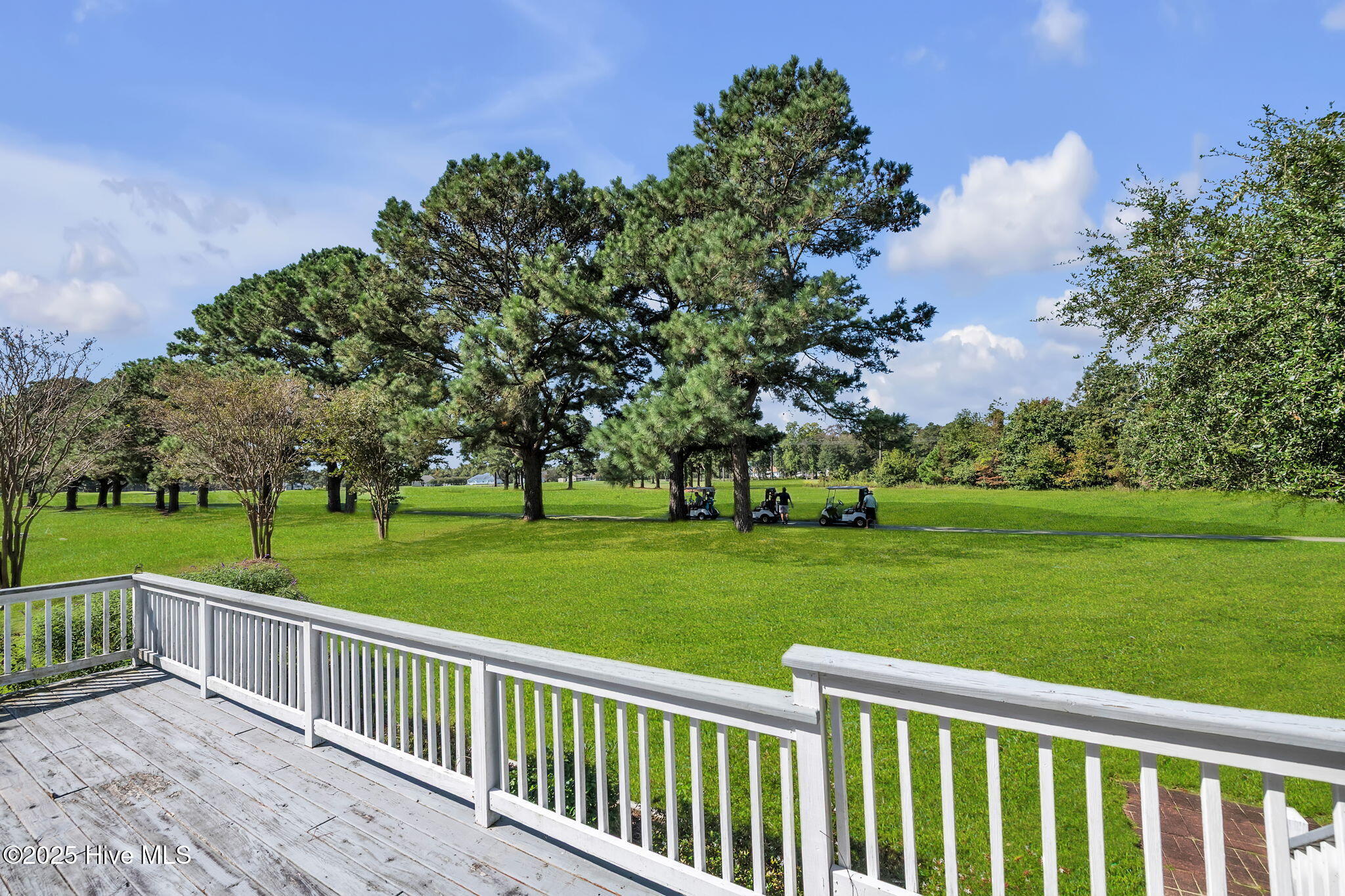 202 Augusta Drive Grandy, NC 27939 - Photo 11 of 46 18-web-or-mls-DSC_9048