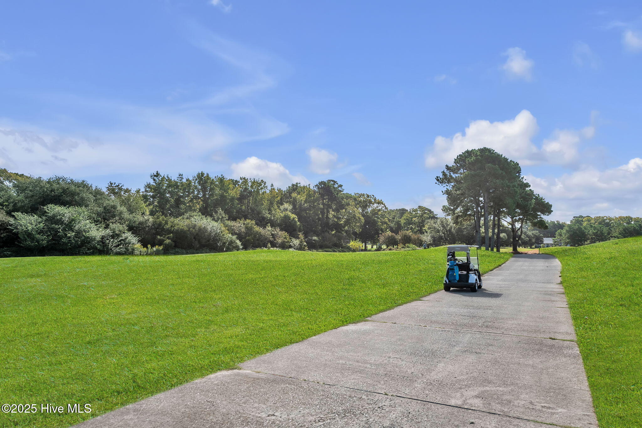 202 Augusta Drive Grandy, NC 27939 - Photo 40 of 46 59-web-or-mls-DSC_9026