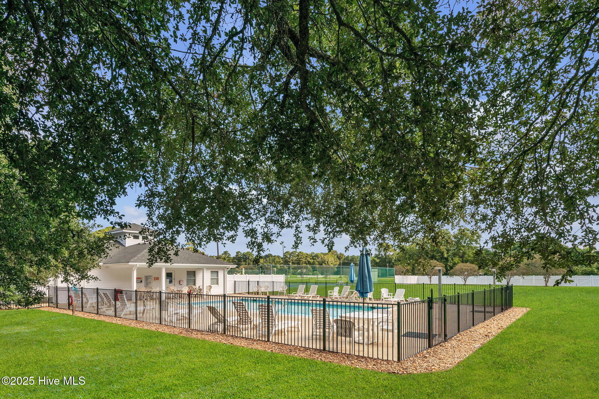 202 Augusta Drive Grandy, NC 27939 - Photo 44 of 46 63-web-or-mls-DSC_9031