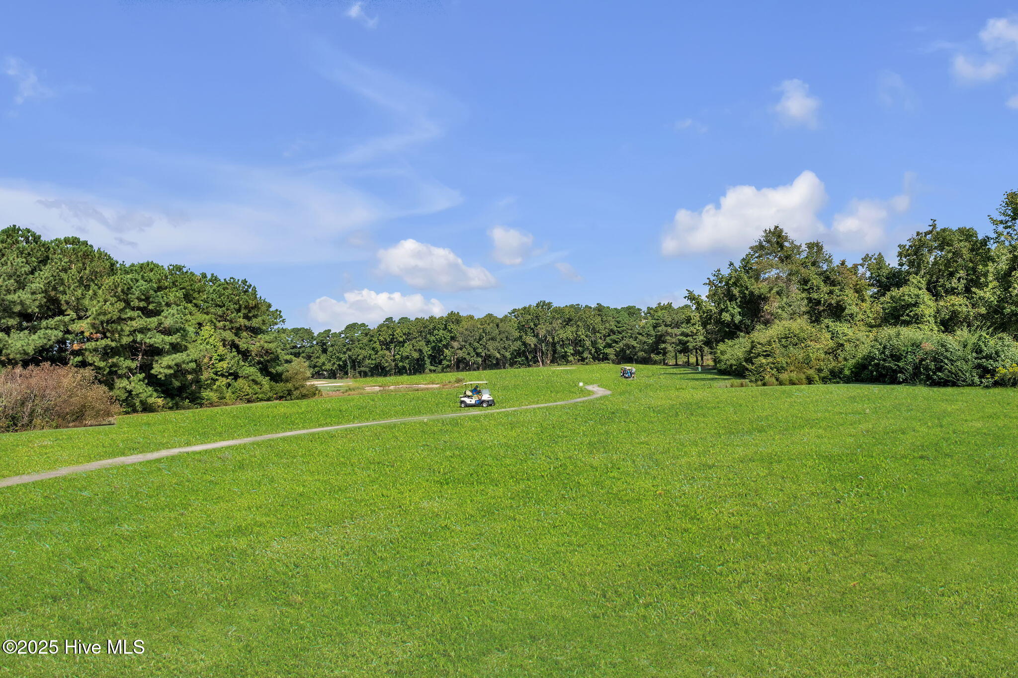 202 Augusta Drive Grandy, NC 27939 - Photo 45 of 46 66-web-or-mls-DSC_9034