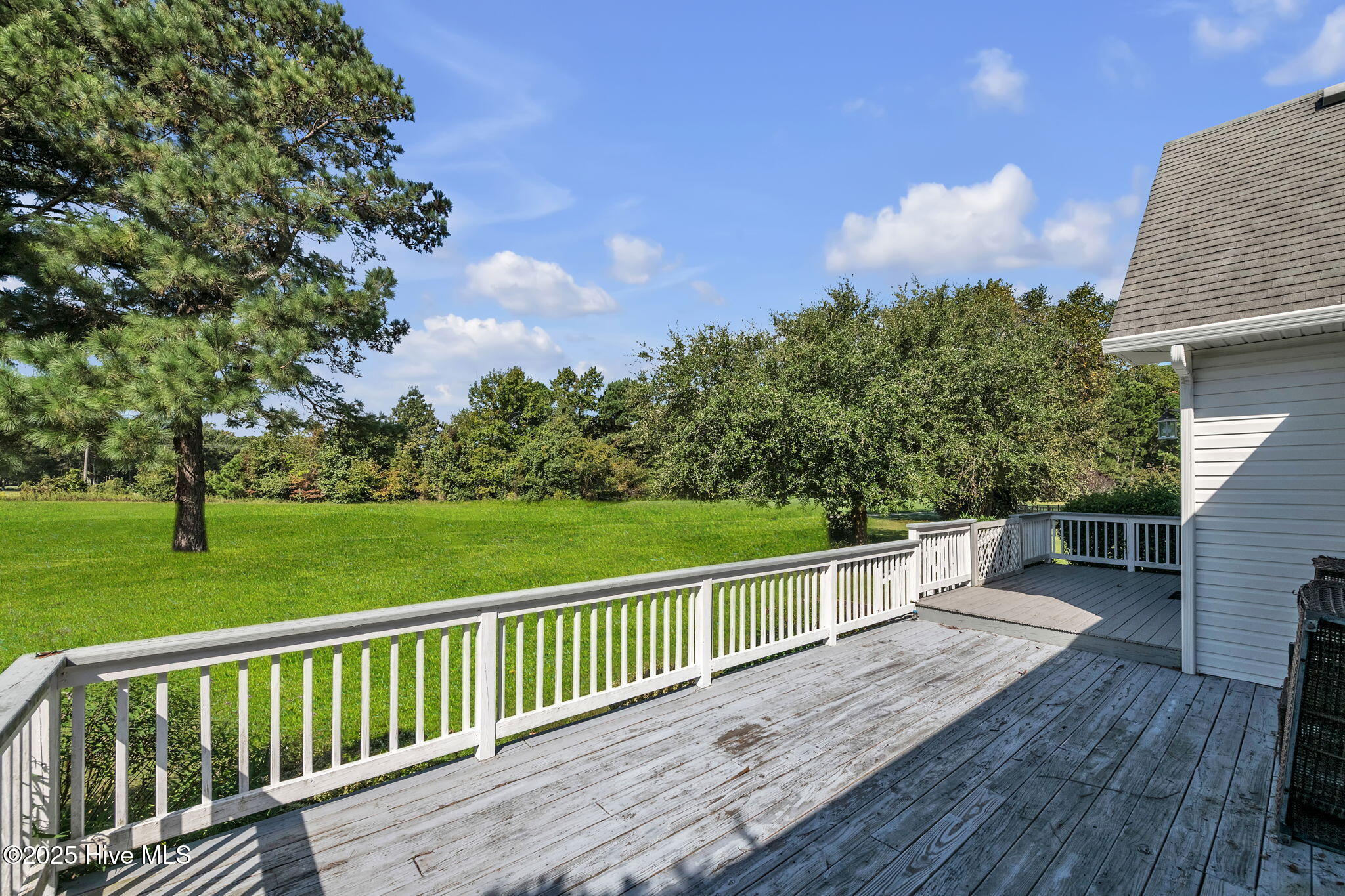 202 Augusta Drive Grandy, NC 27939 - Photo 9 of 46 14-web-or-mls-DSC_9044