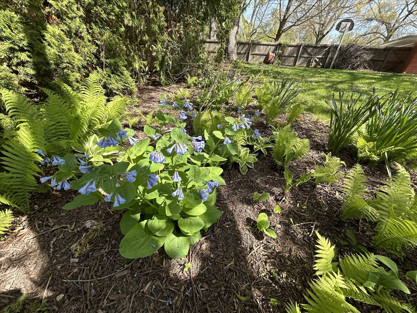31 Montclair Road Urbana, IL 61801 - Photo 69 of 70 Gallery Image 69