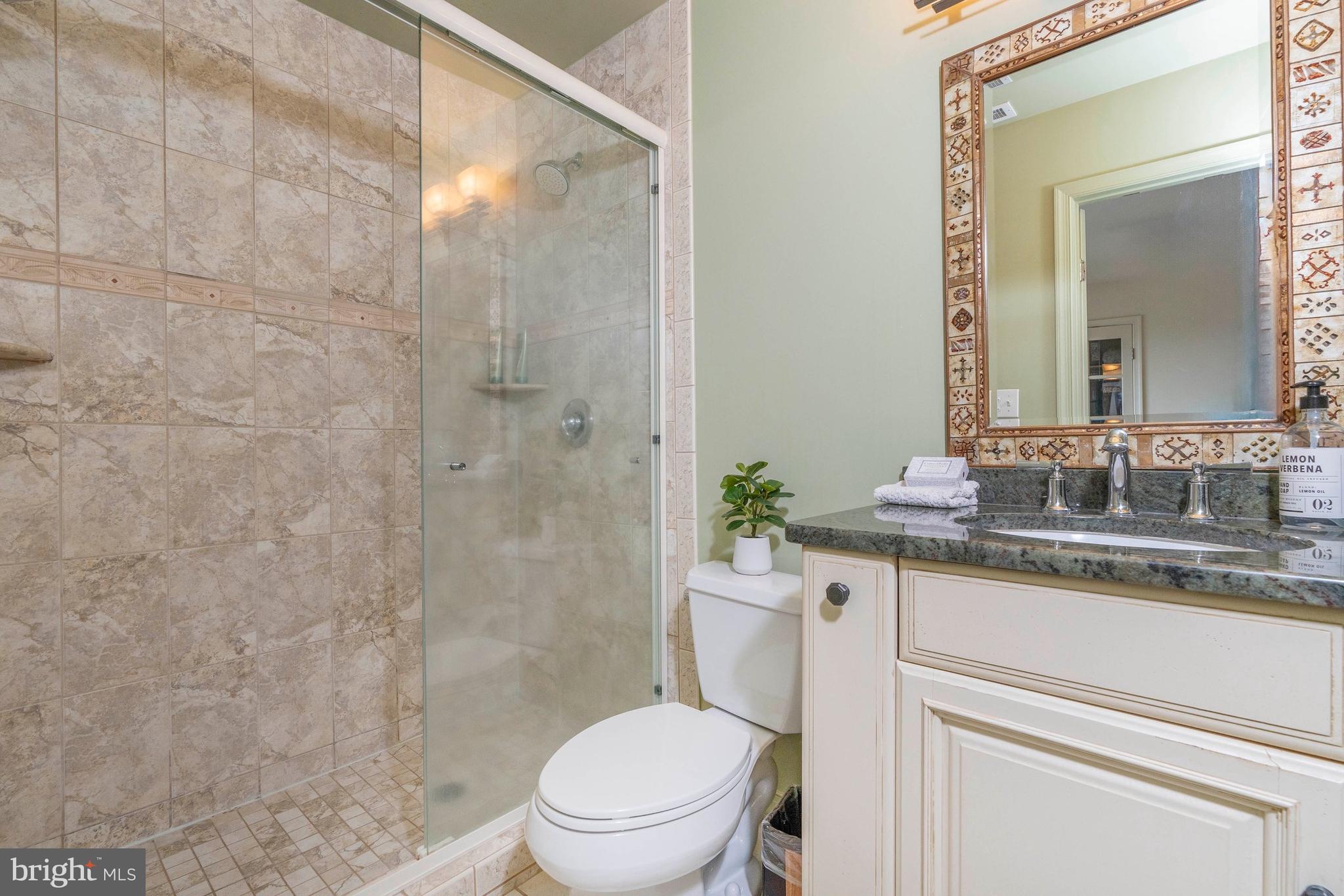 10 Pilot Point, Unit 10B Lewes, DE 19958 - Photo 23 of 38 a bathroom with a granite countertop toilet a sink a mirror and shower