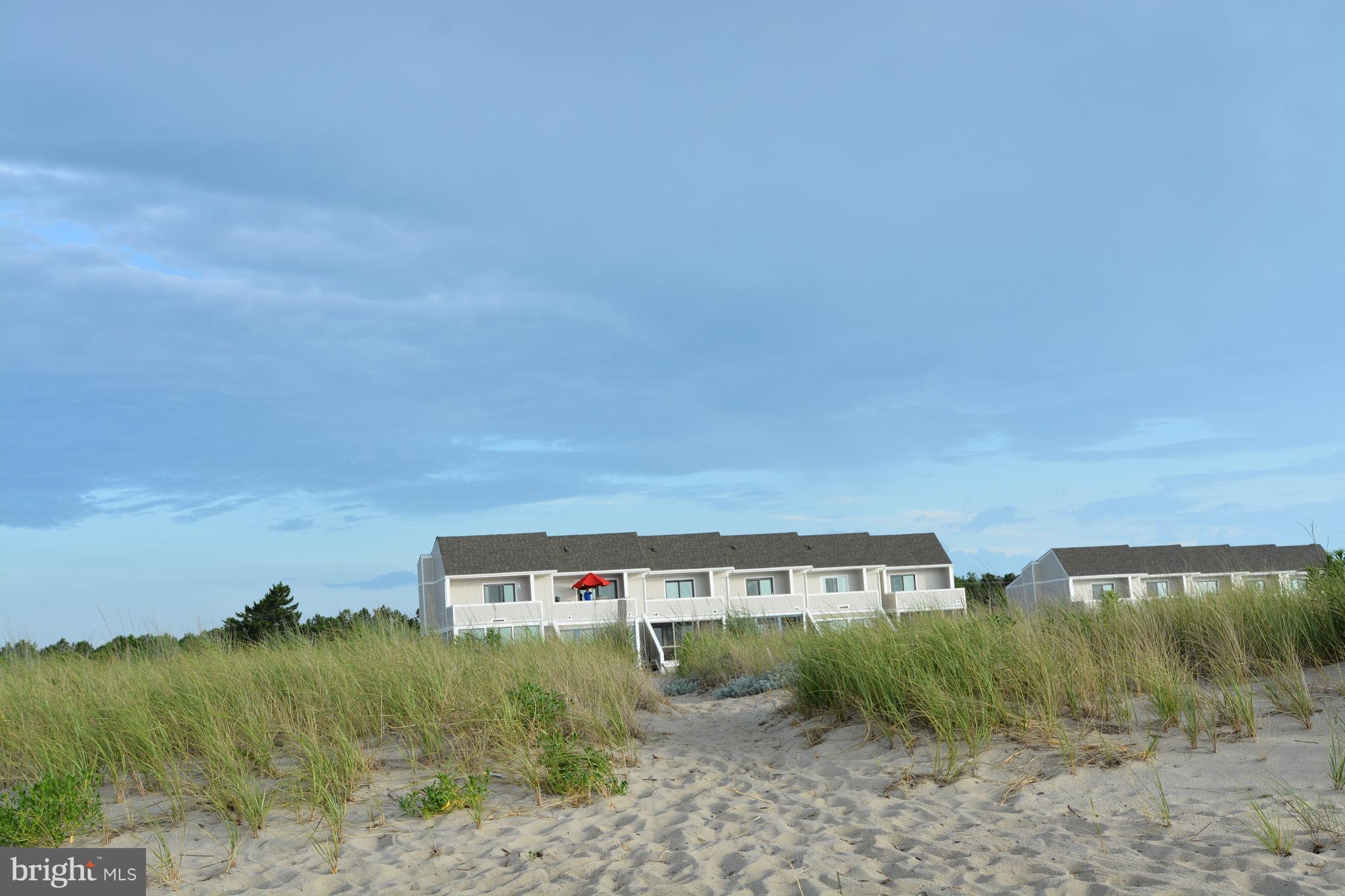 10 Pilot Point, Unit 10B Lewes, DE 19958 - Photo 29 of 38 a view of a big yard with large trees