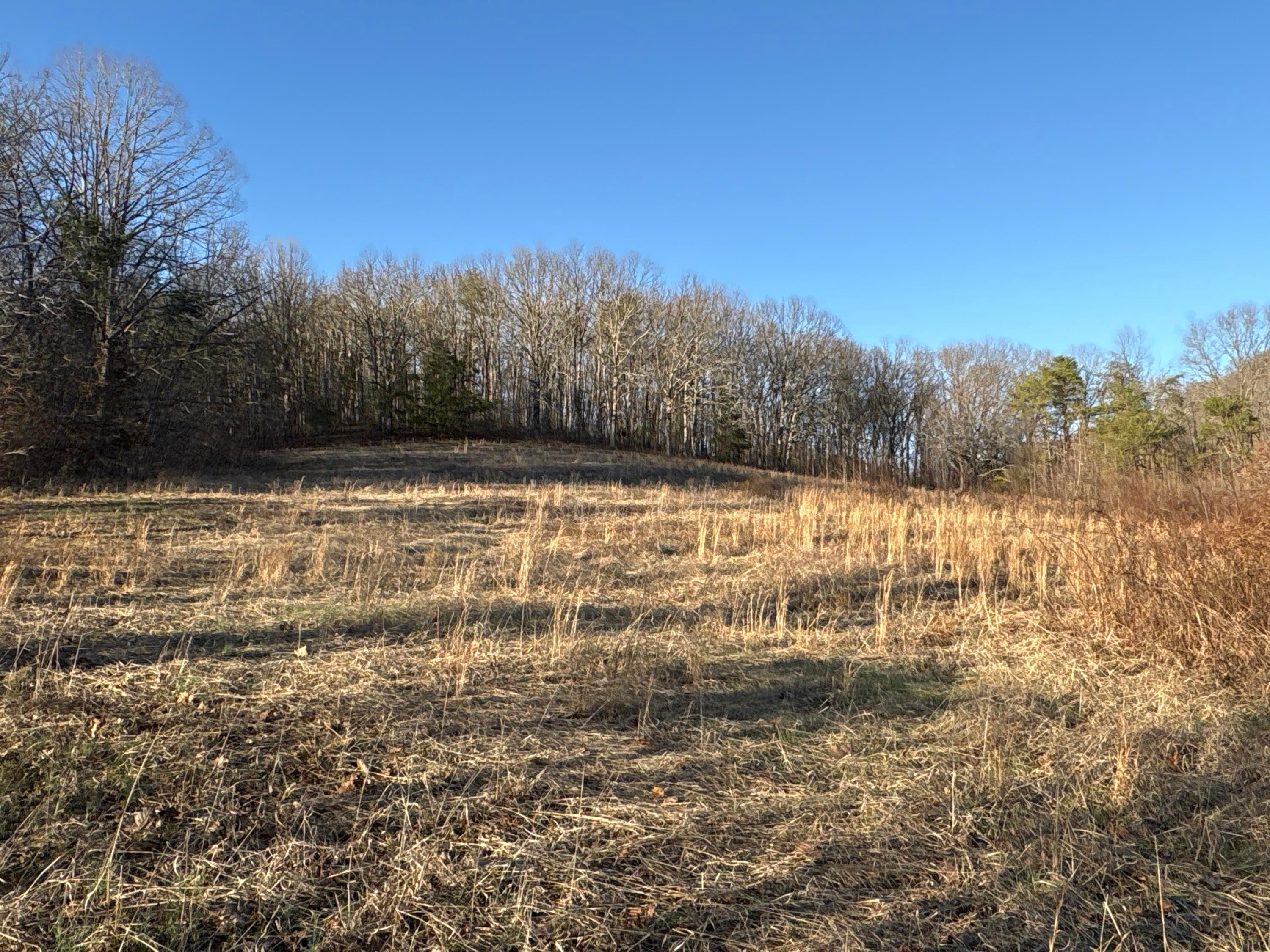 0 Millers Run-Fallen Timber Road Lucasville, OH 45648 - Photo 7 of 24 pic 5