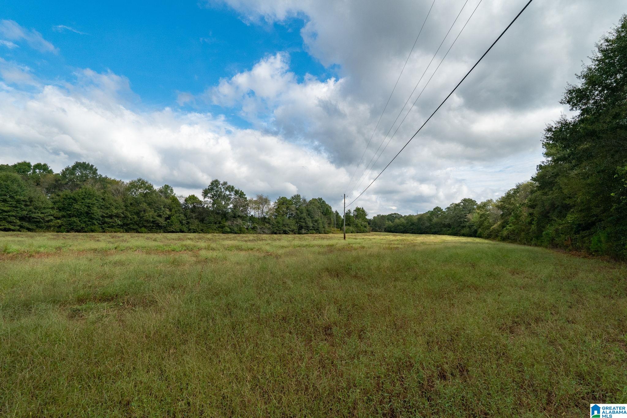 0 Allred Road, Unit PARCEL #5 Lincoln, AL 35096 - Photo 3 of 24