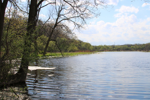 195 Bateman Road Barrington Hills, IL 60010 - Photo 3 of 23 a view of lake